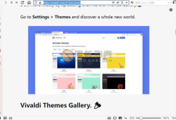 Vivaldi(个性浏览器) v6.1.3035.111 官方中文版