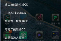 王者手游Oops公益多英雄减CD上帝视角脚本 v5.22