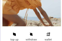 TikTok海外抢单源码