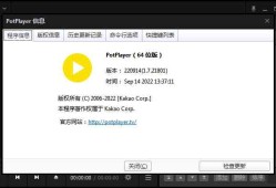 PotPlayer v1.7.21952 中文64位精简优化绿色版