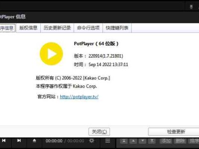 PotPlayer v1.7.21952 中文64位精简优化绿色版