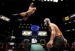 全精英摔角：永远的战斗/AEW: Fight Forever