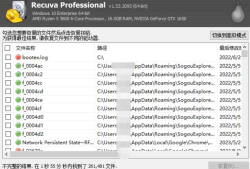 Recuva v1.53.2095 解锁版 (免费的文件恢复工具)