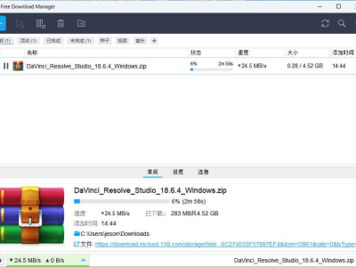 让你向迅雷说再见的下载神器Free Download Manager v6.20