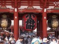 心动恋旅：樱花篇/Blossom Voyage