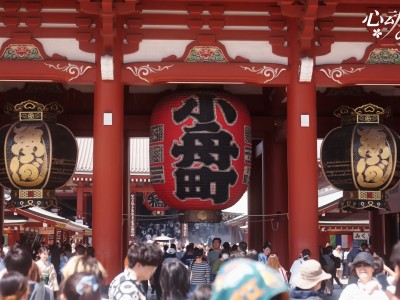 心动恋旅：樱花篇/Blossom Voyage
