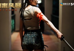 扫毒风暴：宛北往事/The Narcotic Operation