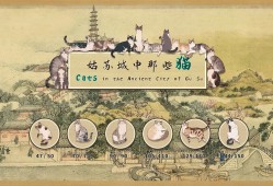 姑苏城中那些猫/Cats in the Ancient City of Gu Su