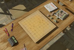 棋弈无限：中国象棋/Just Xiangqi