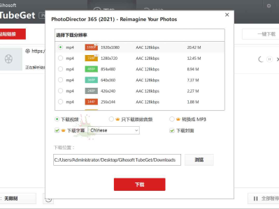 Gihosoft TubeGet v9.2.18便携版