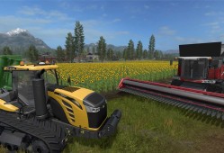 模拟农场17/Farming Simulator 17/支持网络联机