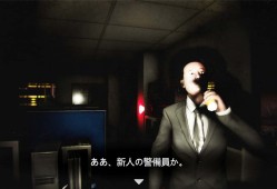 夜间警备v11499673中文版