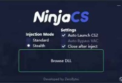 CS2-Ninja注入器绕过VAC绕过隐形注入