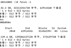 linux 挂载数据盘方法