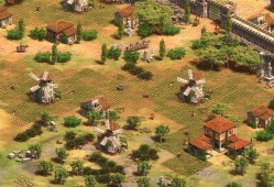 帝国时代2：决定版/Age of Empires II: Definitive Edition/支持网络联机