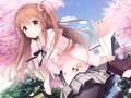 想要传达给你的爱恋/Koi x Shin Ai Kanojo