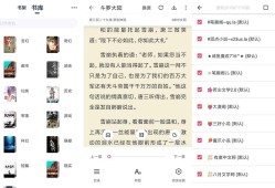 安卓荔枝阅读v1.7.0绿化版