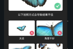 Picture Insect 昆虫识别 v2.8.19解锁高级汉化版