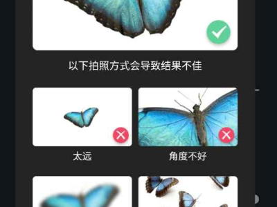 Picture Insect 昆虫识别 v2.8.19解锁高级汉化版