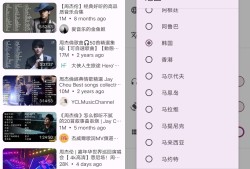 Android LibreTube_v0.16.1第三方油管免翻版