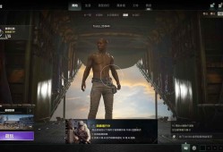 PUBG绝地求生天子绘制自瞄多功能助手