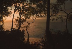 模拟美景摄影/Lushfoil Photography Sim
