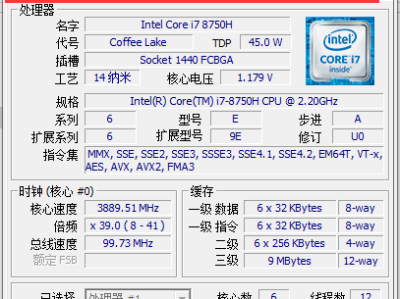 CPU-Z v2.06.1中文绿色单文件