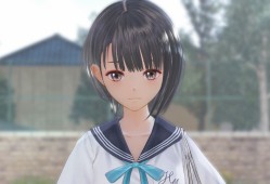 蓝色反射：幻舞少女之剑/蔚蓝反射：幻舞的少女之剑/Blue Reflection