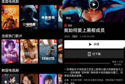 奈飞Netflix v8.70.0 Build1250524正式版