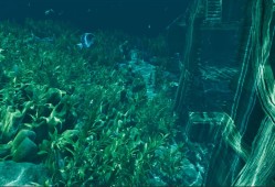 孤岛笔记/Island Notes
