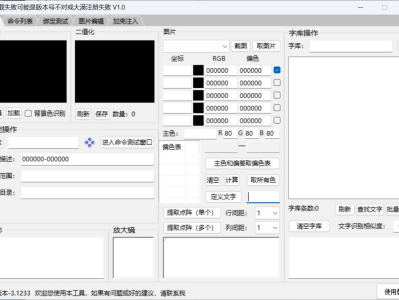 易编程辅/助软件 集成大漠综合工具部分功能+加壳+dll注入工具