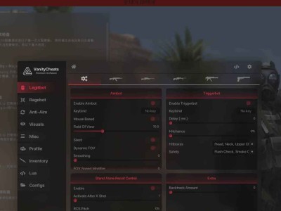 CSGO-VanityCheats纯演技辅助工具/演技/换肤/视觉/杂项