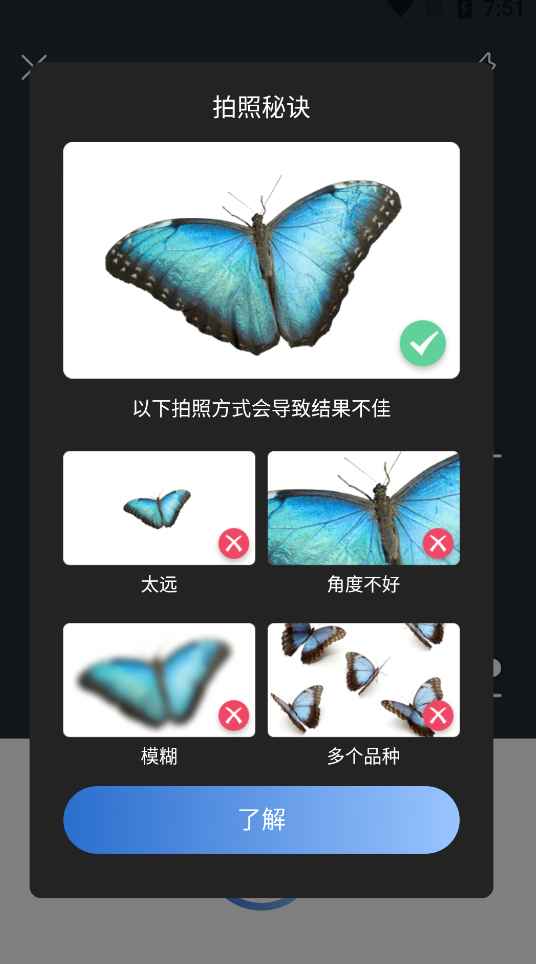 Picture Insect 昆虫识别 v2.8.19解锁高级汉化版  第1张