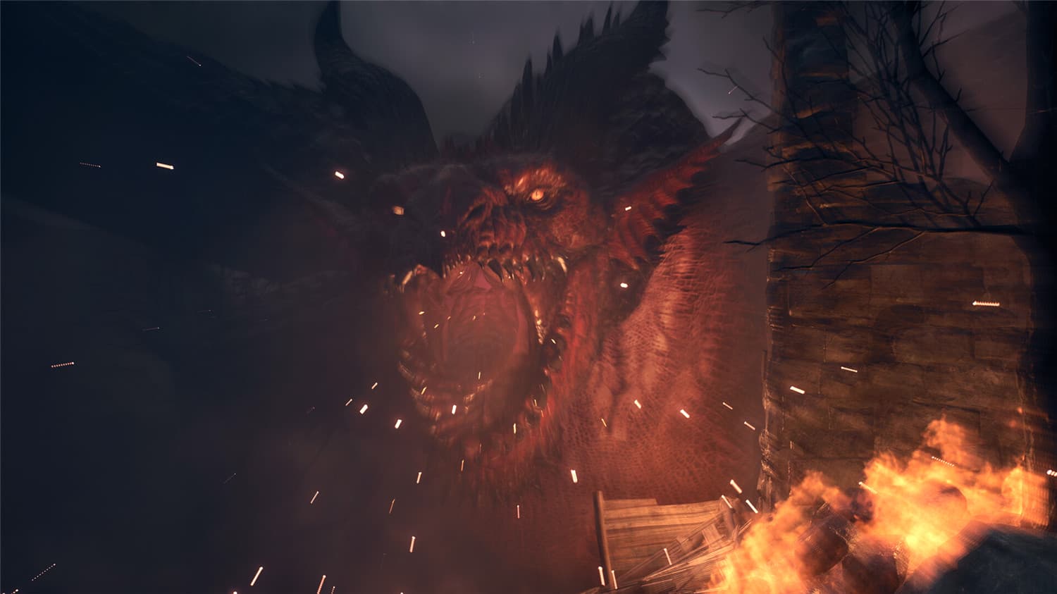 龙之信条2/Dragon's Dogma 2  第1张