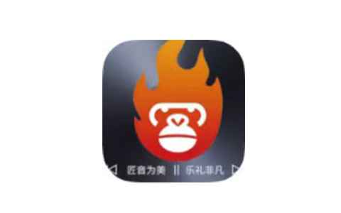 大师兄音乐2.0.1海量音乐~多种音源~无损下载