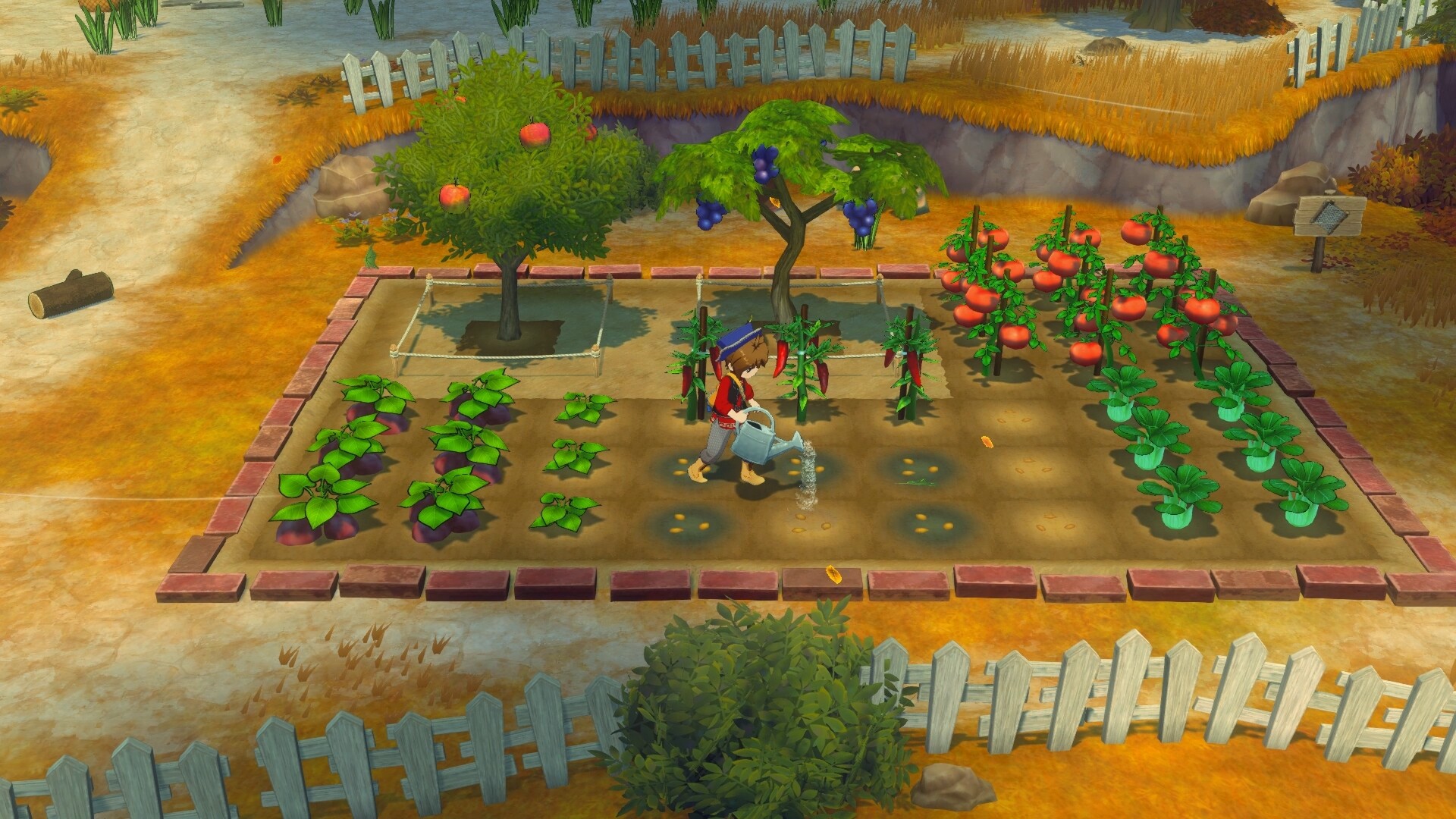 牧场物语 来吧！风之繁华集市/STORY OF SEASONS: Grand Bazaar  第1张