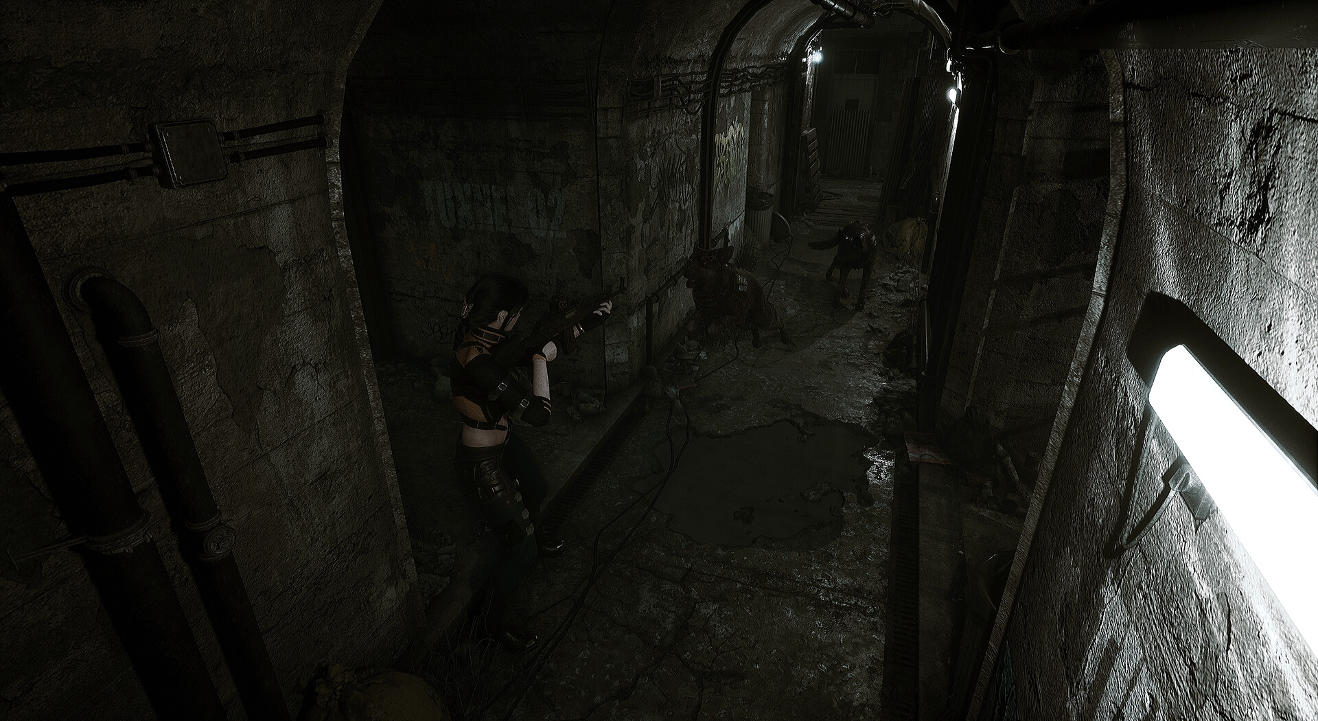 生者回响/Echoes of the Living 第1张 生者回响/Echoes of the Living 第1张