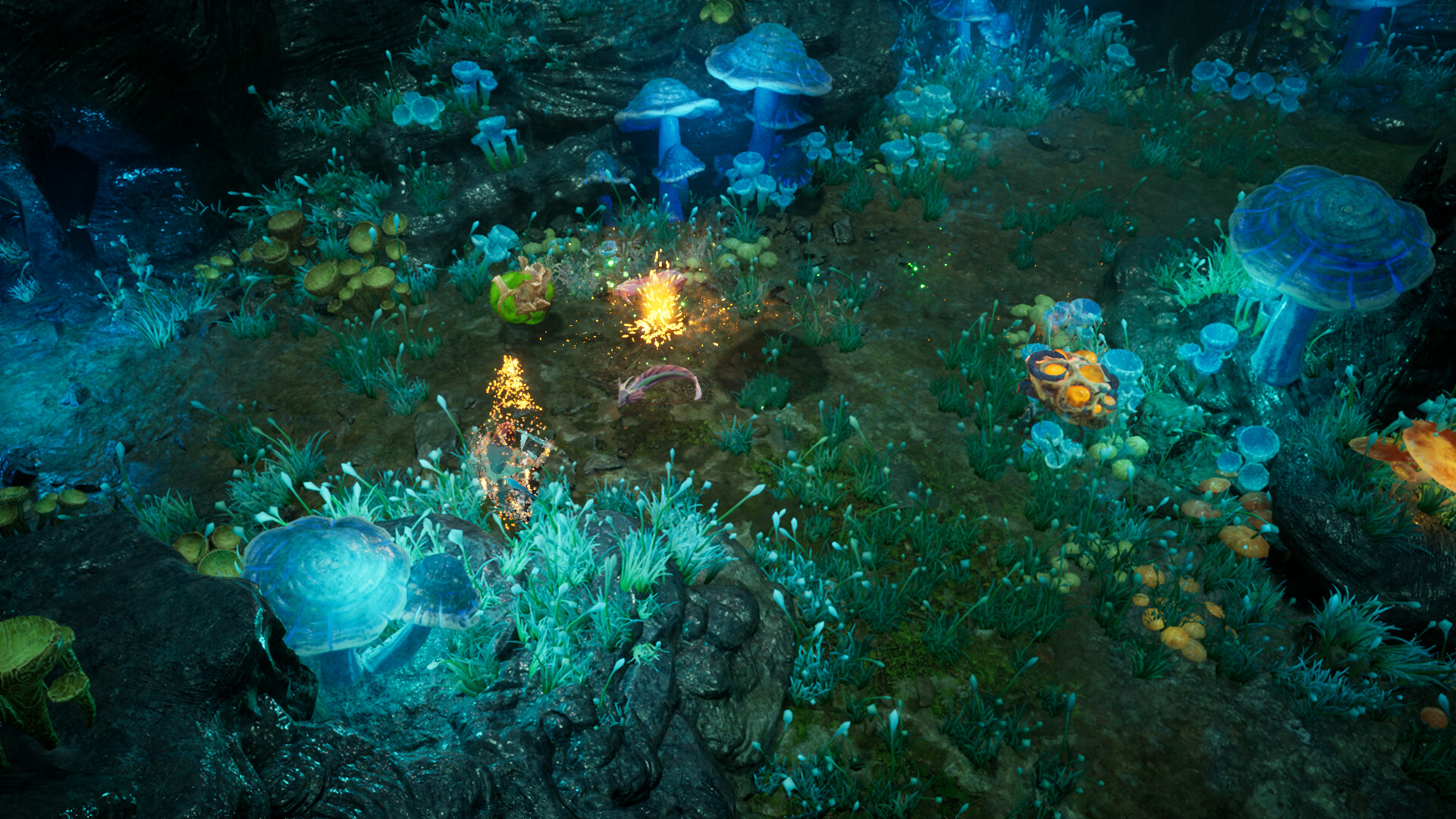 再次崛起/Rise Again  第2张