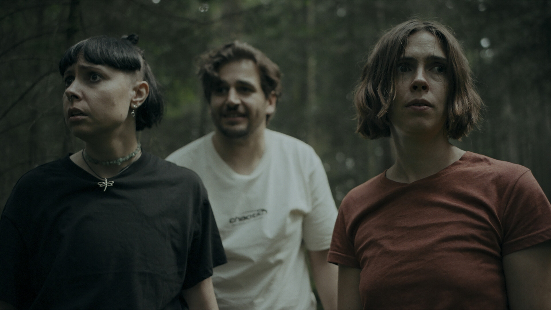 幽林深处/Heart of the Forest  第3张