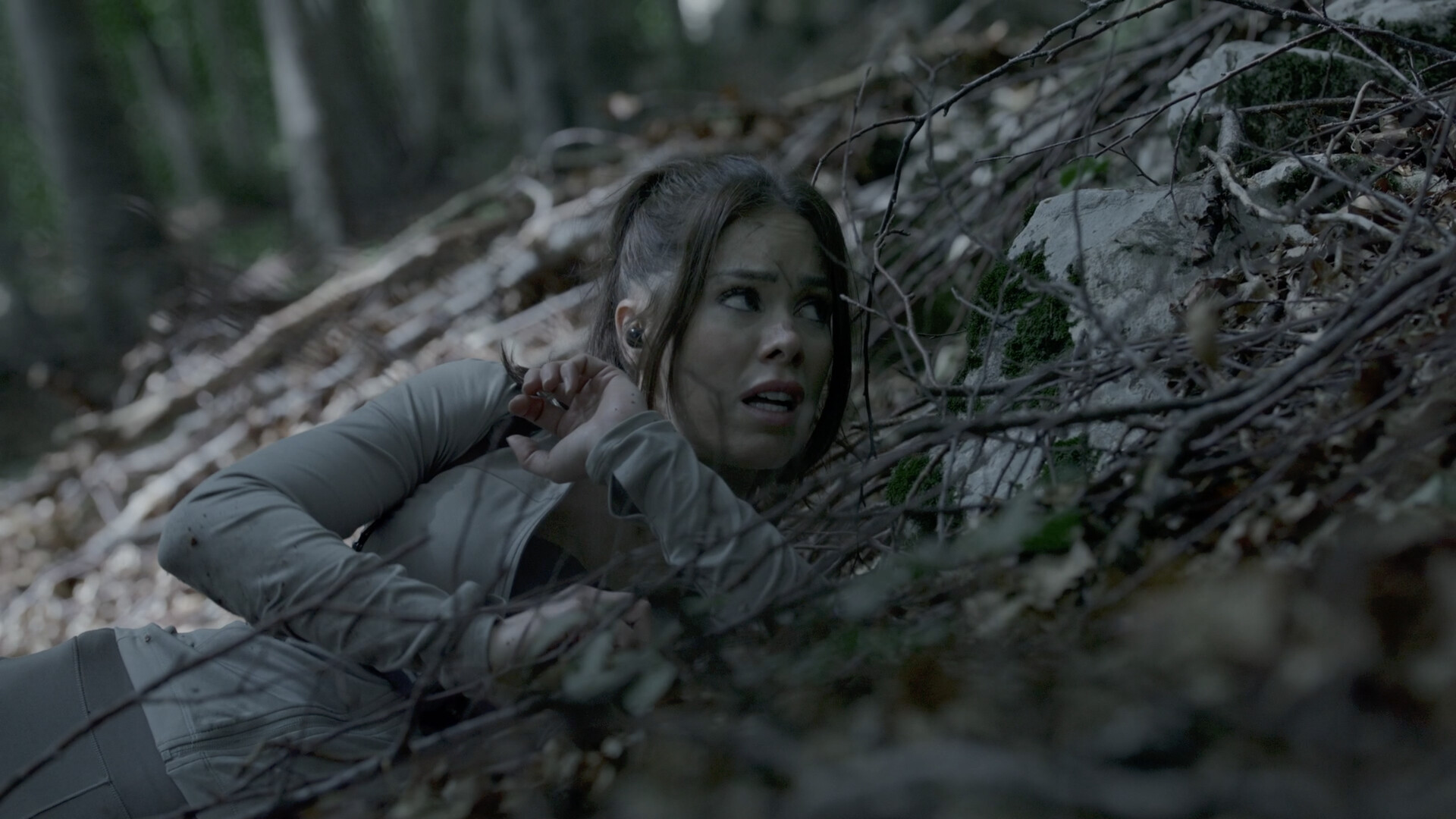 奔跑/The Run  第2张